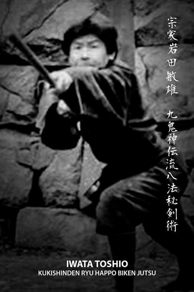 iwata toshio soke